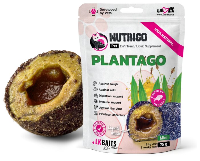 Plantago